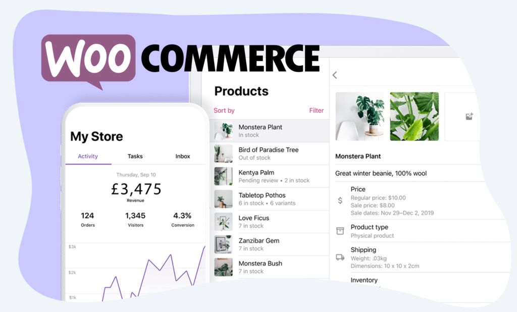 woocommerce-web-designers